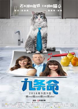 圣诞节会下雪吗